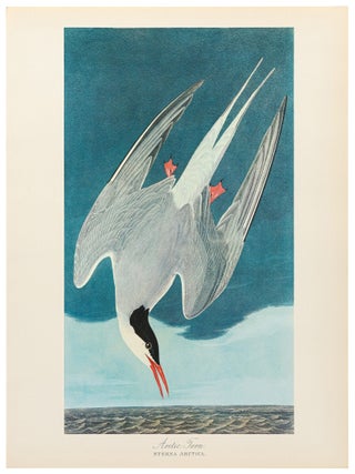 The Audbon Folio [Two Volumes]
