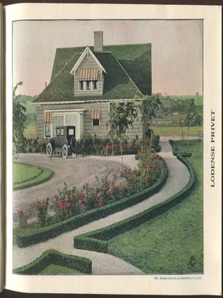 The Fairview Nurseries
