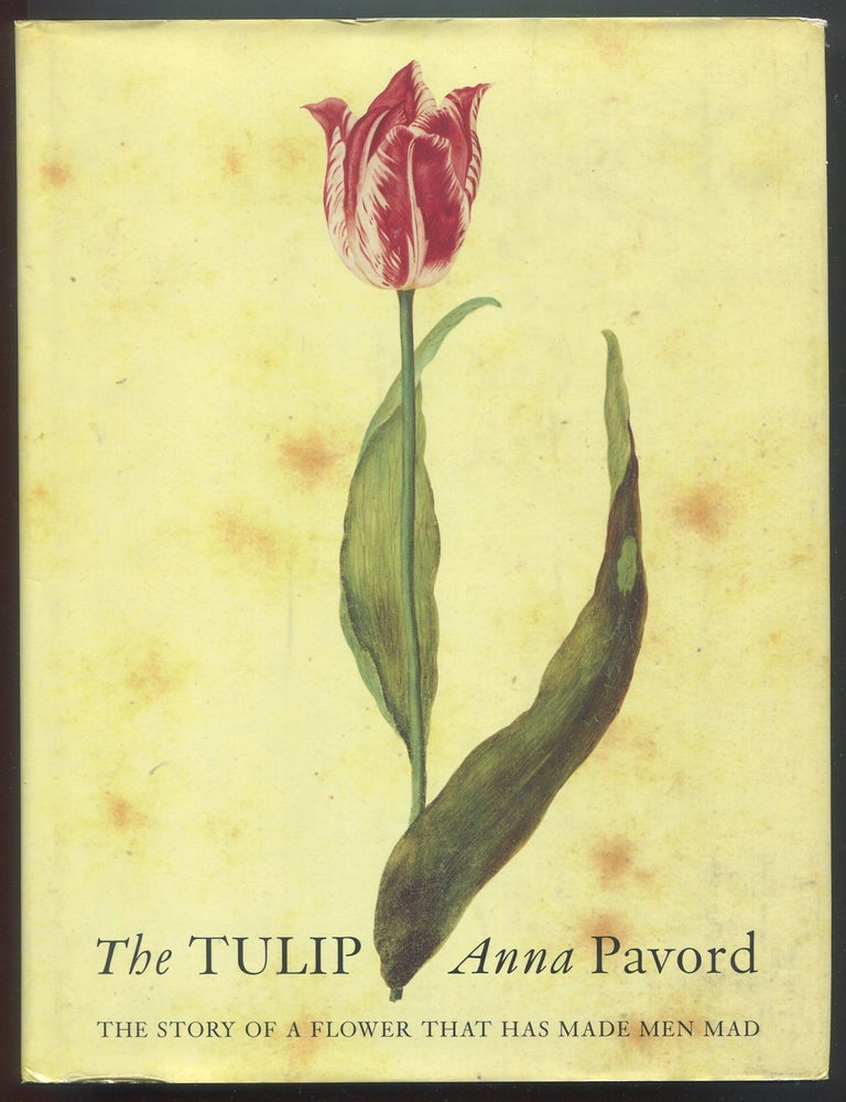 Item #629608 The Tulip. Anna PAVORD.