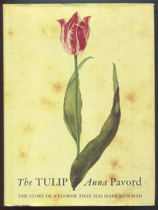 The Tulip