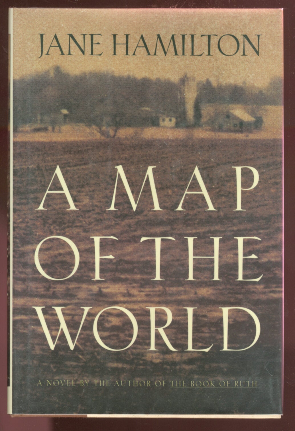 A Map of the World | Jane HAMILTON