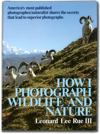 How I Photograph Wildlife and Nature