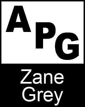 Item #93497 Bibliography, First Edition and Price Guide (APG - Author's Price Guide Series). Zane...